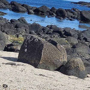 TYPO3\CMS\Extbase\Domain\Model\FileReference: