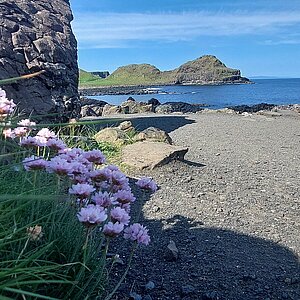 TYPO3\CMS\Extbase\Domain\Model\FileReference: